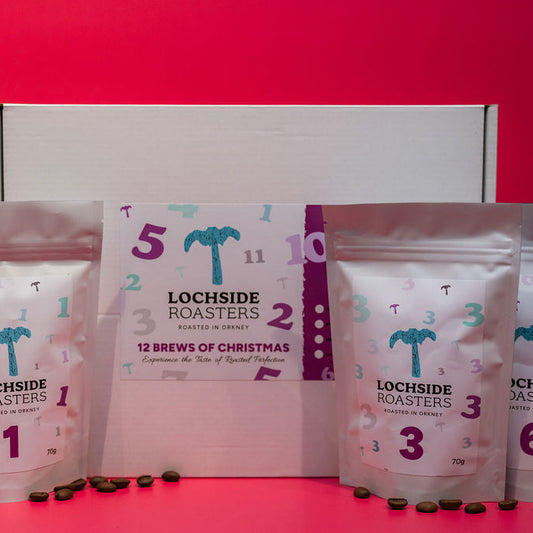 12 Brews of Christmas